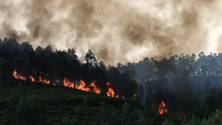 Incêndio em Arouca com quatro frentes ativas leva a medidas de segurança em aldeias