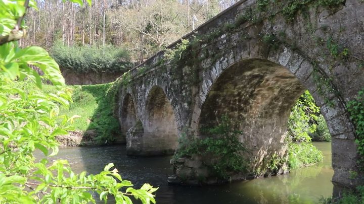 Oliveira de Azeméis lança “Roteiro das Freguesias” para aproximar oliveirenses do território