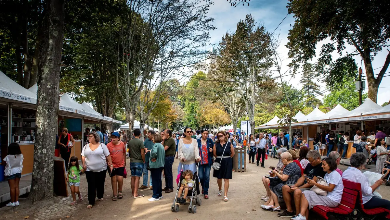 Feira do Livro do Porto recebe mais 7 mil visitantes nos dois primeiros dias