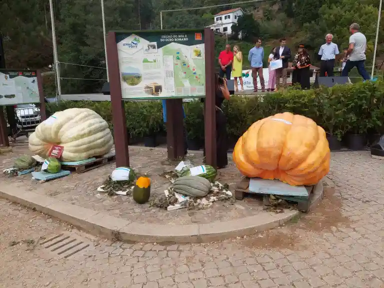 Paredes celebra tradições e produtos locais com três dias de festa em Aguiar de Sousa
