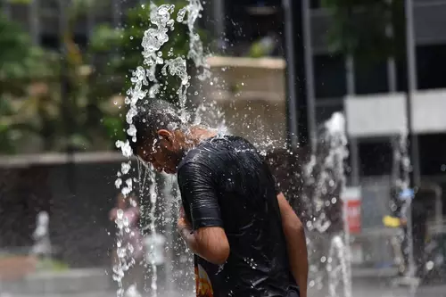 Calor aperta em Portugal: temperaturas chegam aos 42 graus e 11 distritos entram em alerta
