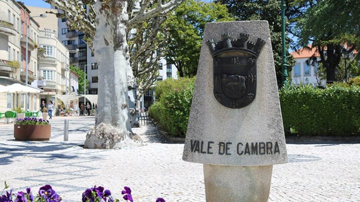 Vale de Cambra atribui 23 habitações a famílias em situação de carência