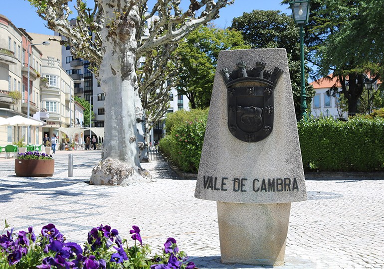 Vale de Cambra atribui 23 habitações a famílias em situação de carência