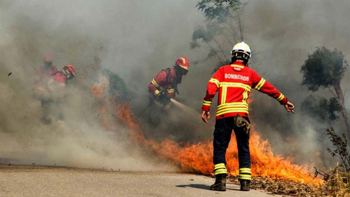 Incêndio na Trofa obriga a retirar 40 alunos de escola