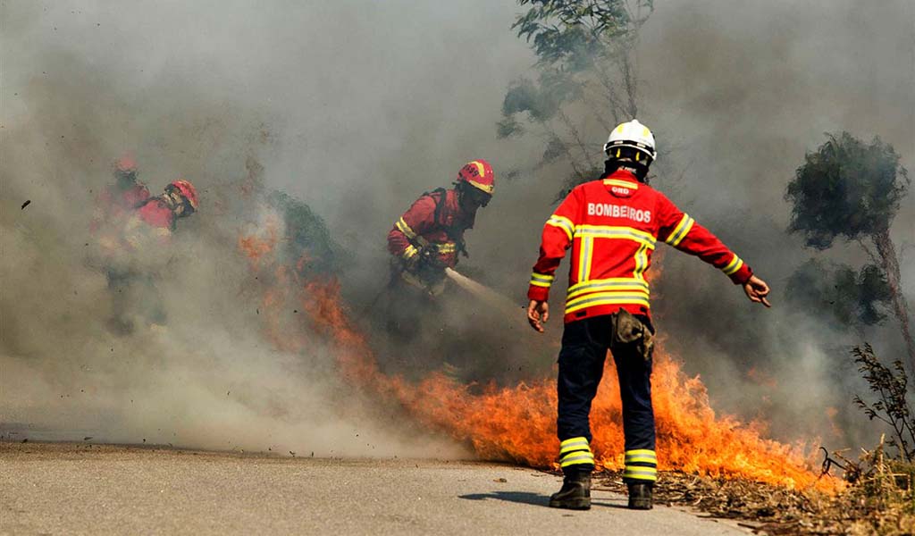 Incêndio na Trofa obriga a retirar 40 alunos de escola