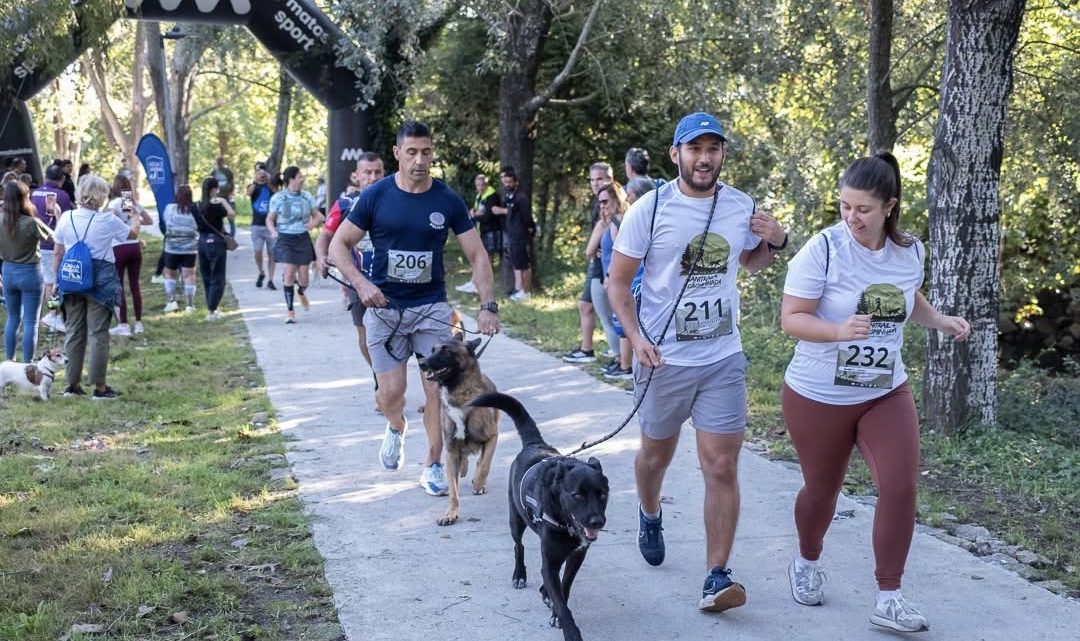 Matosinhos corre e caminha pela causa animal