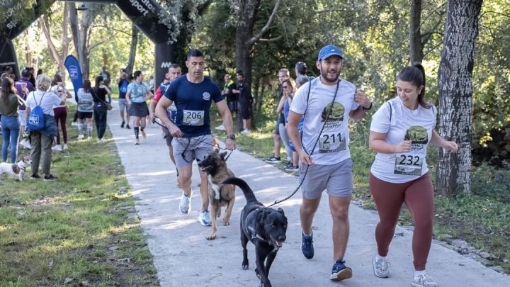Matosinhos corre e caminha pela causa animal