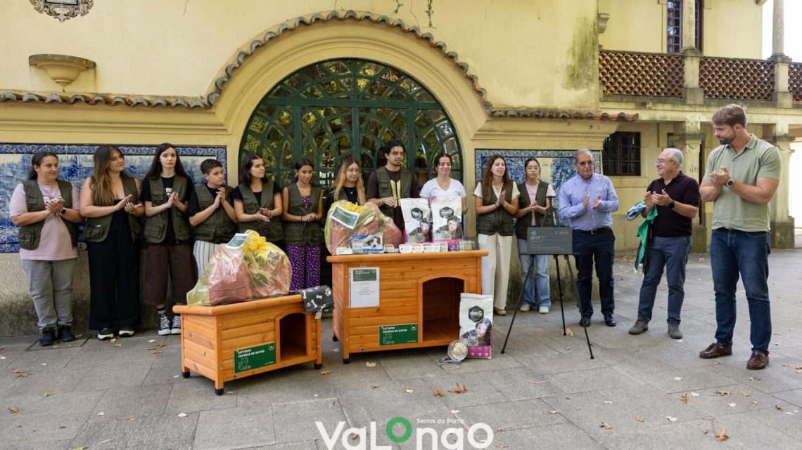Jovens de Valongo impulsionam criação de abrigos para gatos abandonados