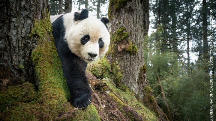 Maia recebe exposição World Press Photo pelo 27.º ano consecutivo