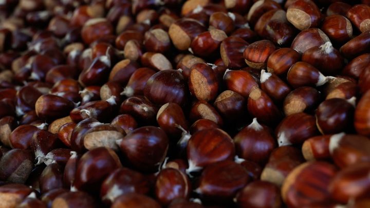 Festival da Castanha leva tradição e sabores de outono ao centro histórico de Arouca